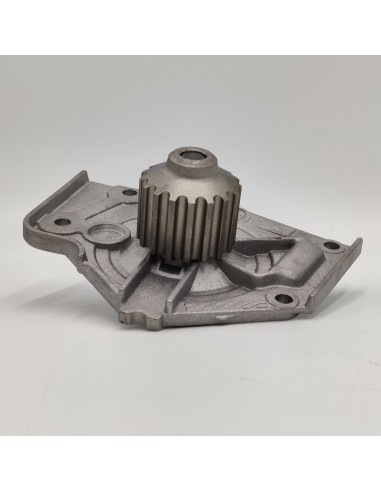 Comprar Bomba de agua MAESTRO / MONTEGO 1.6 1984