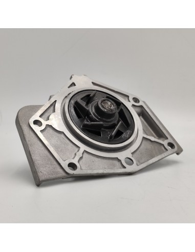 Comprar Bomba de agua ROVER 216 online