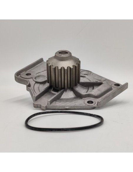 Comprar Bomba de agua ROVER 216 online