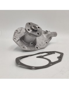 Comprar Bomba de agua Renault 8, Renault 10 online