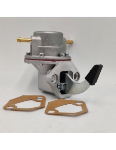 Bomba gasolina Mini Austin Metro UK AZX1806 AZX1817