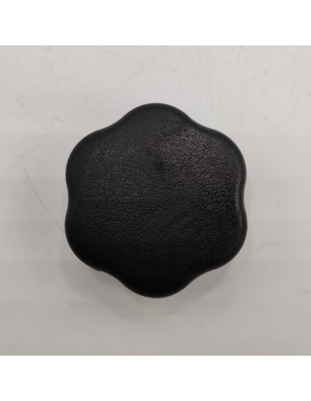 Tapón de aceite Citroen AX, Citroen BX, Citroen C15  7700675931