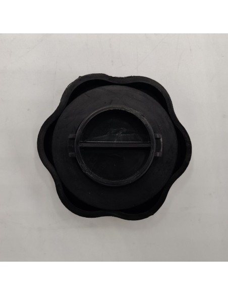 Tapón de aceite Renault 5, Renault 6, Renault 9, Renault 11, Renault 12, Renault 18, Renault 19, Renault 20, Renault 21, Renault