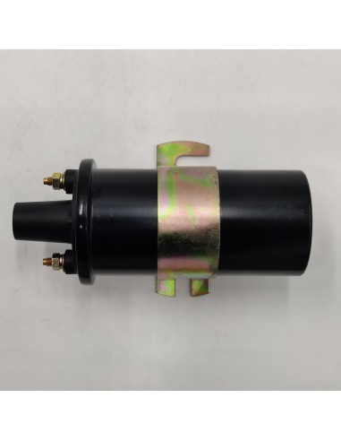 Bobina encendido Renault Clio Renault Fuego Renault Express Renault 4 Renault 5 Renault 6 Renault Super 5 Renault 7 Renault 8 Re