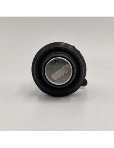 Bombín maletero Fiat Regata