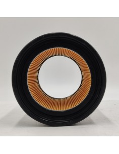 Filtro de aire Renault 12 7700565729 7701001494 7701001499 7701005514 7701348115 2