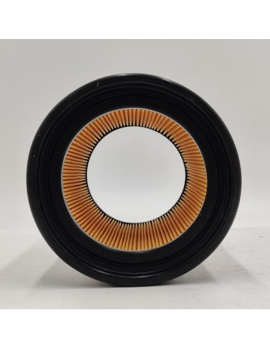 Filtro de aire Renault 12 7700565729 7701001494 7701001499 7701005514 7701348115