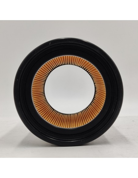 Filtro de aire Renault 12 7700565729 7701001494 7701001499 7701005514 7701348115