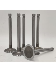 Juego de válvulas de admisión Dodge Dart Dodge 3700