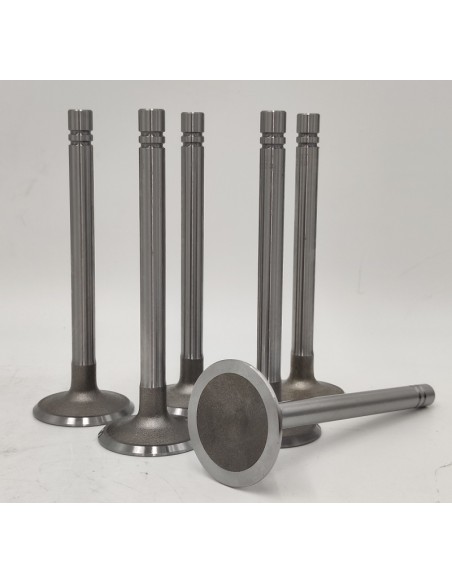 Juego de válvulas de admisión Dodge Dart Dodge 3700