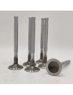 Juego de válvulas de escape Dodge Dart Dodge 3700