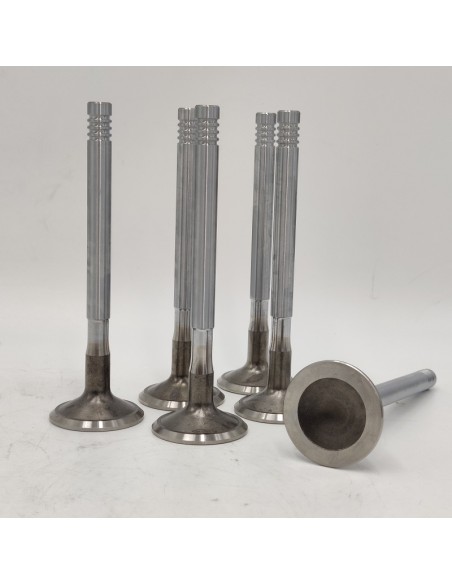 Juego de válvulas de escape Dodge Dart Dodge 3700