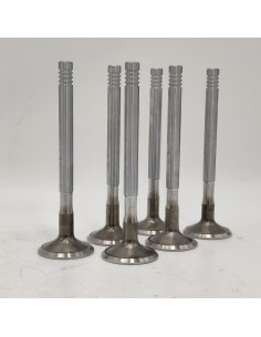 Juego de válvulas de escape Dodge Dart Dodge 3700 2