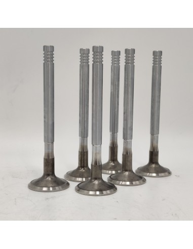 Juego de válvulas de escape Dodge Dart Dodge 3700