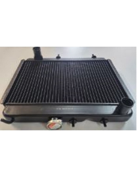 Radiador refrigeración Renault 4 antiguo, tipo montaña