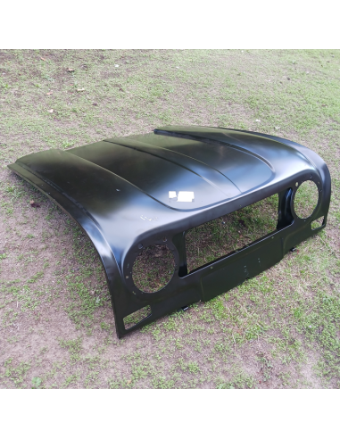 Capó delantero Renault 4 7701463576 7751464058
