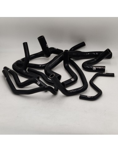 Juego completo manguitos refrigeración Renault Clio 16V, Renault Clio Williams