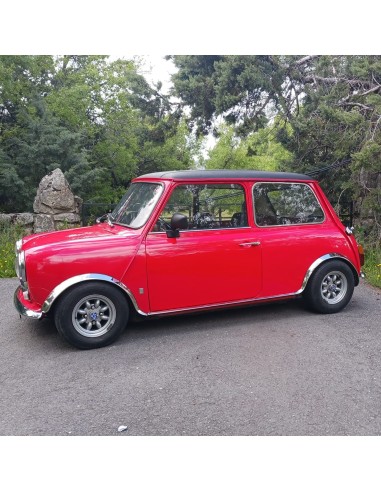 Panel paño inferior puerta derecha Austin Mini