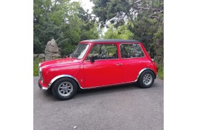 Panel paño inferior puerta derecha Austin Mini