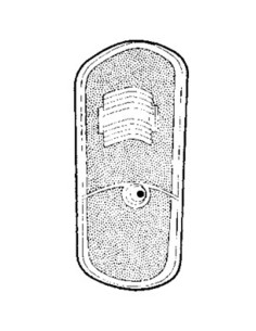 Tulipa intermitente delantero derecho posición blanca Alfa Romeo Giulia
