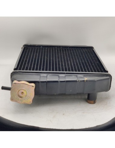 Reacondicionado radiador refrigeración Authi Morris 1100 Authi Morris 1275 GT Authi Morris 850 Authi Morris 1300 67-00