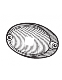 Comprar Tulipa blanca intermitente delantera izquierda Ford