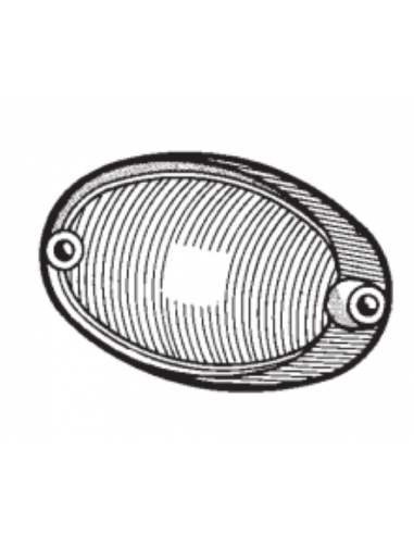 Comprar Tulipa blanca intermitente delantera izquierda Ford