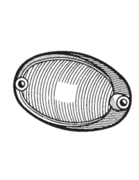 Comprar Tulipa blanca intermitente delantera derecha Ford