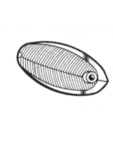 Comprar Tulipa blanca aleta intermitente borde cromado Ford