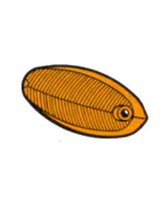 Comprar Tulipa aleta intermitente borde cromado Ford Taunus 12