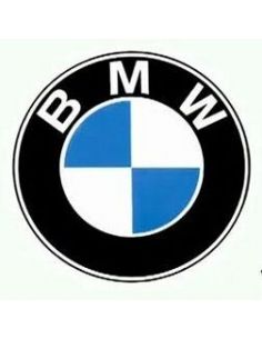 ¿Qué necesitas para tu BMW?