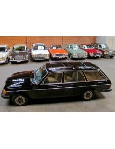 ¿qué necesitas para tu Mercedes Benz?