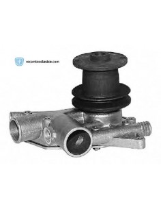 Comprar Bomba de agua RENAULT 4 83- online