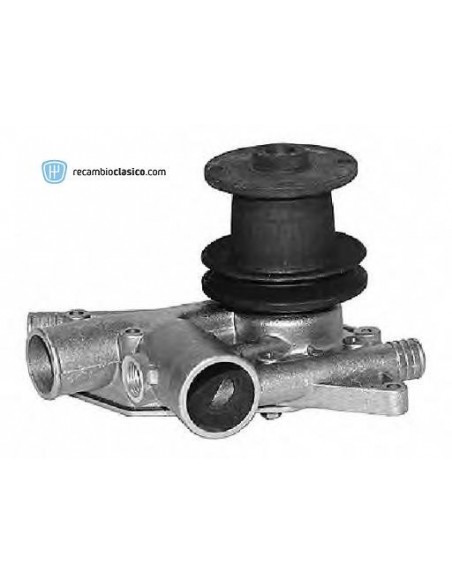 Comprar Bomba de agua RENAULT 4 83- online