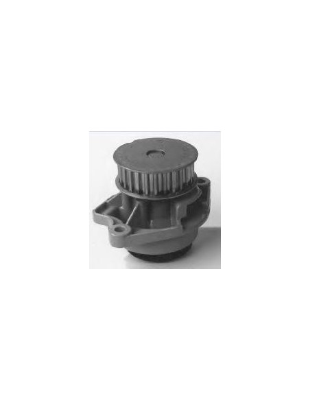 Comprar Bomba de agua SEAT Cordoba / Ibiza online