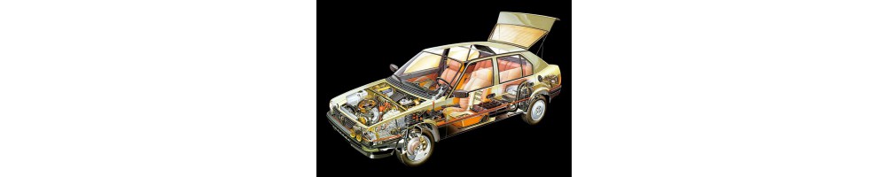 Alfa 33 MECANICA
